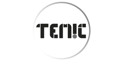 Logo Temic